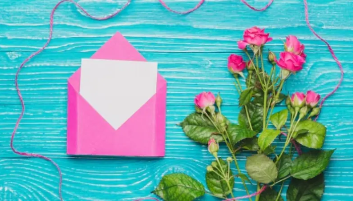 newsletter shopnaclo